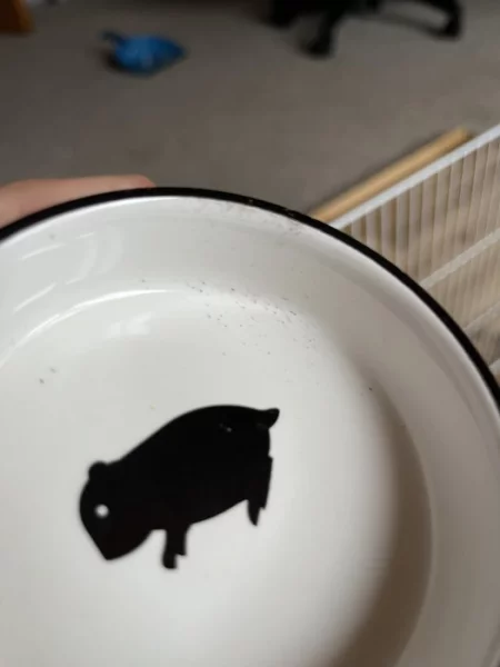 Flamingo miska pro křečky syrský