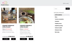 Suchozemská želva (2ks) + vybavené terárium