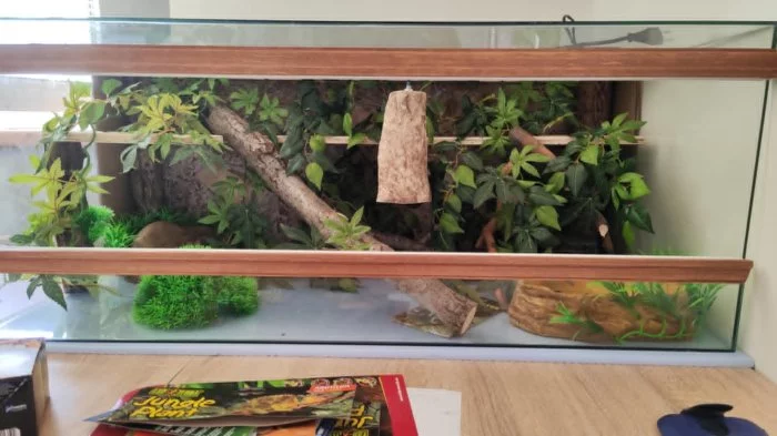 Terarium