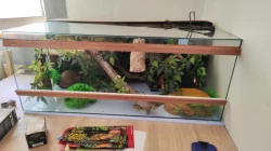 Terarium