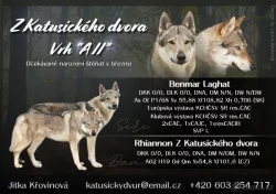 Československý vlčák s PP