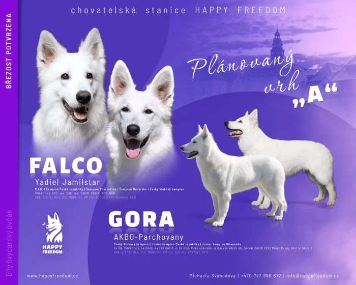 Bílý švýcarský ovčák s PP