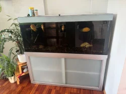 Prodám akvárium cca 500 l včetně kovové konstrukce pod akváriem.