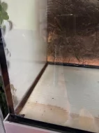 Prodám akvárium cca 500 l včetně kovové konstrukce pod akváriem.