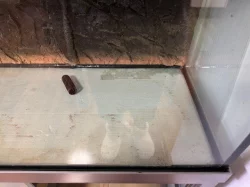 Prodám akvárium cca 500 l včetně kovové konstrukce pod akváriem.