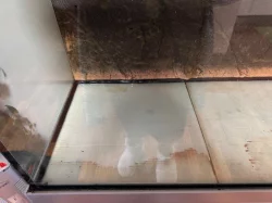 Prodám akvárium cca 500 l včetně kovové konstrukce pod akváriem.