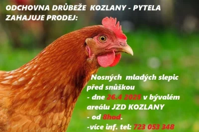 ODCHOVNA DRŮBEŽE KOZLANY