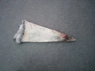 VÝKUP KŮŽÍ KRALIČICH AŽ 20 KČ ZA 1 KUS.