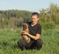 Prodám štěně BO Malinois