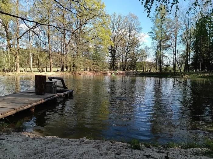 Koupím razboru, střevličku východní