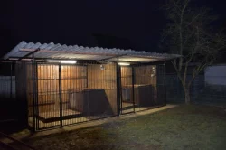 Německý ovčák štěnata - Rokycany