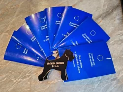 Knírač střední pepř a sůl