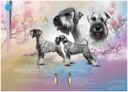 Knírač střední pepř a sůl