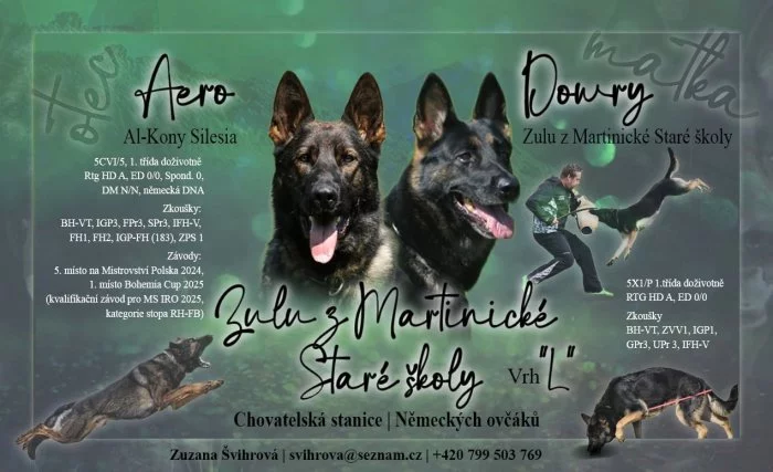 Německý ovčák