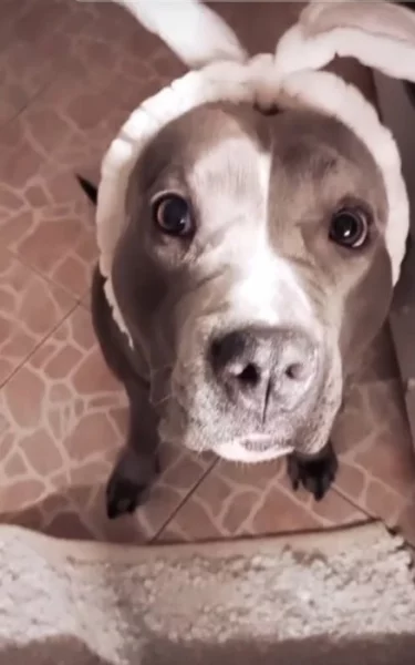 Do dobrých rukou !!!