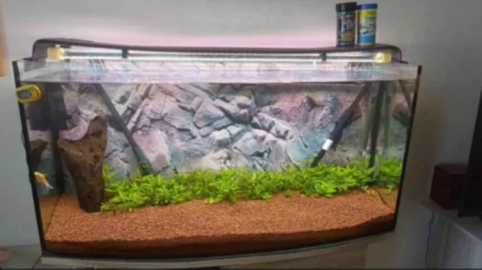 Prodám akvárium 200 l + 2x EHEIM filtrace (Profesionel 4+ 350 a 250)