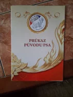 Gold Imperia Perla Princess