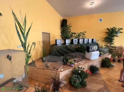 Výstava-papoušci Vrbičany u Lovosic