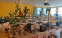 Výstava-papoušci Vrbičany u Lovosic