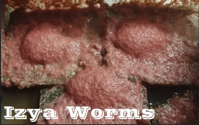 Živé krmivo k domácímu chovu , násady - Auloforus, Izya, Grindal, Mikry, Vířníci, Trepka, Dafnie, Moina, Mexický Blešivec...