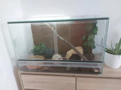 Krajta královská s veškerým vybavením