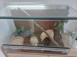 Krajta královská s veškerým vybavením