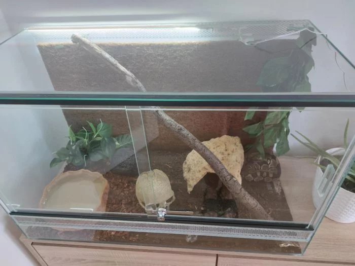 Krajta královská s veškerým vybavením