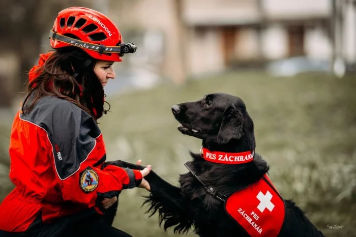Flat Coated Retrívr - štěňata po rodičích nejlepších povah