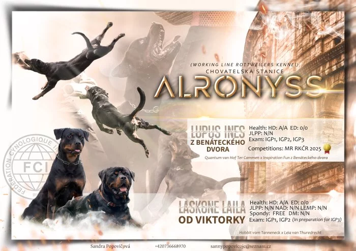 Rotvajler štěňátka s PP, RTW