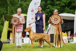 ChS Morana zadá štěňata RR s PP