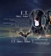 Dobrman štěně s PP