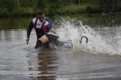 Dobrman štěně s PP