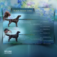 Grafika pro chovatele - letáčky, které osloví