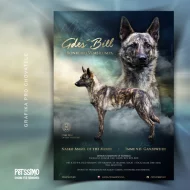 Grafika pro chovatele - letáčky, které osloví