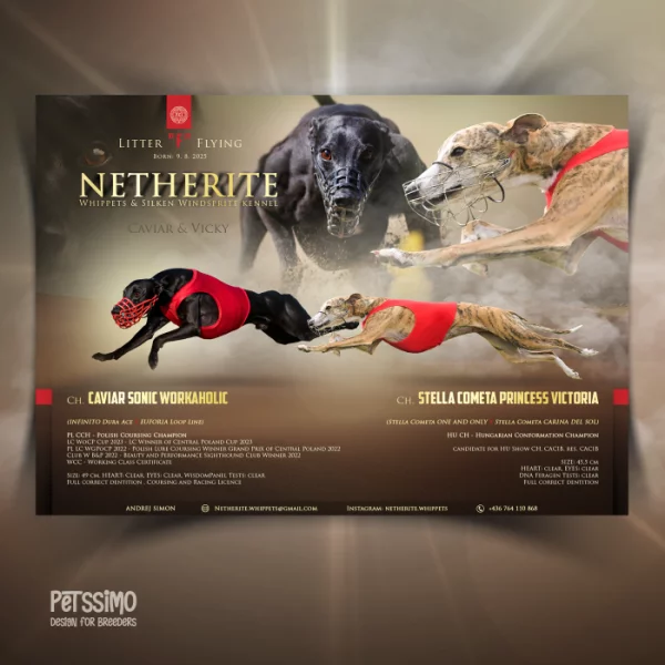 Grafika pro chovatele - letáčky, které osloví