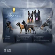 Grafika pro chovatele - letáčky, které osloví