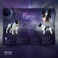 Grafika pro chovatele - letáčky, které osloví