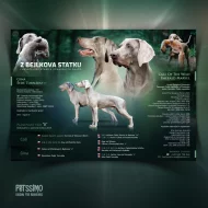 Grafika pro chovatele - letáčky, které osloví