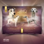 Grafika pro chovatele - letáčky, které osloví