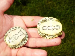 Želva středoamerická (Trachemys venusta)