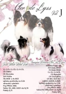 Poslední volná štěňátka papillona