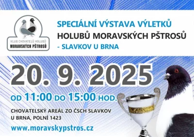 Klubová výstava výletků moravských pštrosů Slavkov u Brna 20.9.2025
