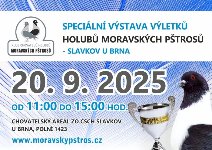 Klubová výstava výletků moravských pštrosů Slavkov u Brna 20.9.2025