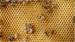 Lisy na odlévání mezistěn.