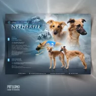 Grafika pro chovatele - oblíbené letáčky pro vrhy, chovné jedince...