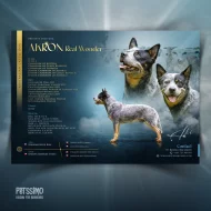 Grafika pro chovatele - oblíbené letáčky pro vrhy, chovné jedince...