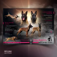 Grafika pro chovatele - oblíbené letáčky pro vrhy, chovné jedince...