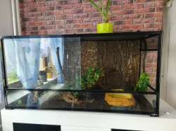 Terarium