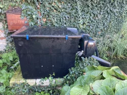 Okrasné jezírkové ryby - Koi kapr,Karas,Shubunkin,Zlatý lín