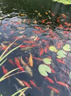 Čerpadlo, Filtrační set, Skimmer, rozmrazovač hladiny